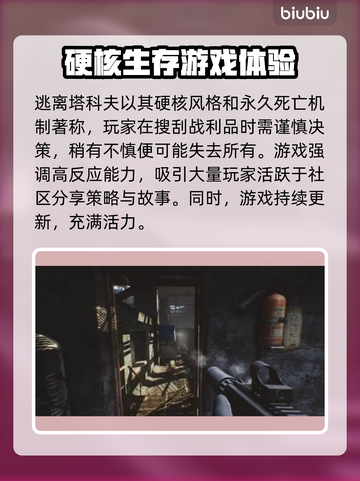 逃离塔科夫闪退解决方法大公开！⚡加速器必备吗？截图2
