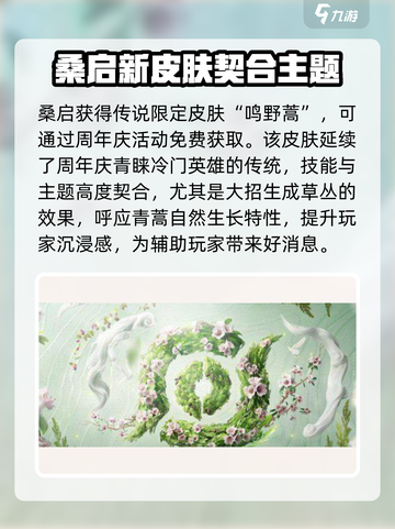 王者荣耀九周年限定皮肤介绍介绍截图3