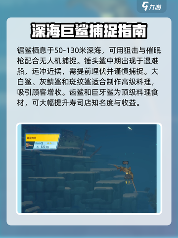 潜水员戴夫鲨鱼怎么抓介绍截图4