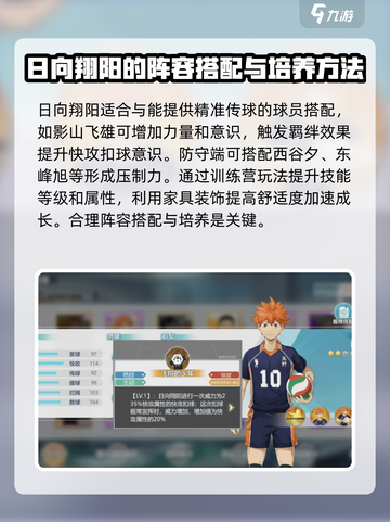 排球少年手游飞翔的少年是谁介绍截图3