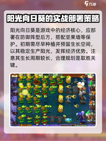 植物大战僵尸：杂交版阳光向日葵超🔥💡截图4