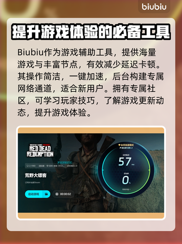 荒野大镖客掉帧？💥优化秘籍来了！😎截图4