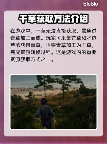 战国王朝⚡干草获取攻略！快速收集方法💡截图2
