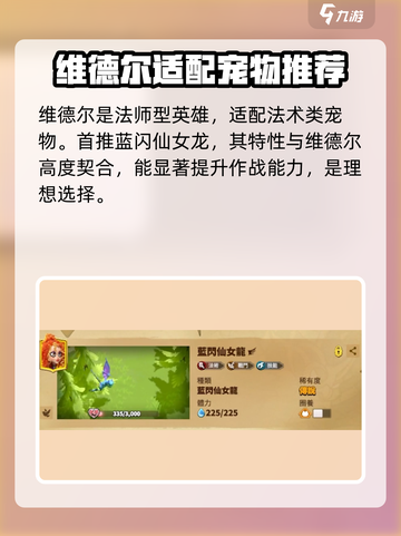 万龙觉醒🔥维德尔宠物最强搭配🌟必看攻略！截图2