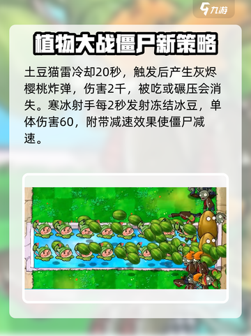 植物大战僵尸无双版🔥超强植物阵容大揭秘！截图4