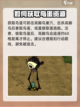 饥荒联机版😎高脚鸟蛋孵化方法大揭秘🎉截图2