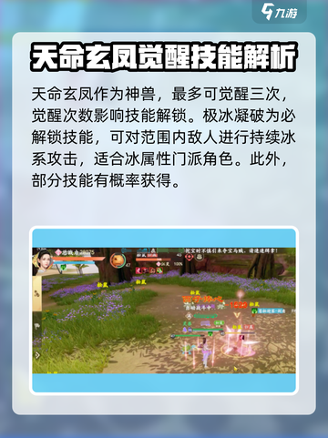 新天龙八部手游天命玄凤技能介绍介绍截图2