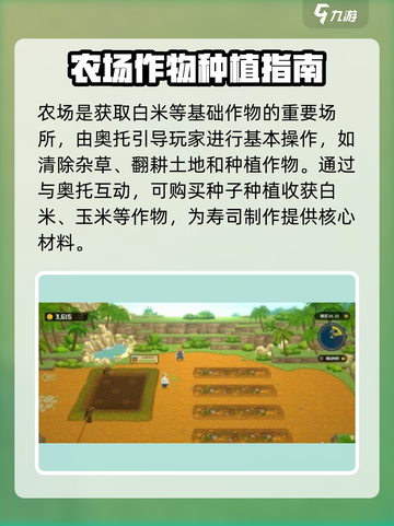 潜水员戴夫💡奥托位置大揭秘！🔥截图3
