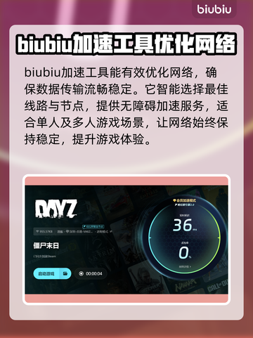 DayZ流畅玩🔥加速工具推荐🎉截图5