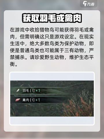 七日世界🔥羽绒防寒外套制作方法全解！截图4