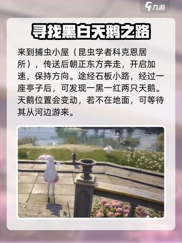 无限暖暖夜色天鹅绒怎么获得介绍截图3