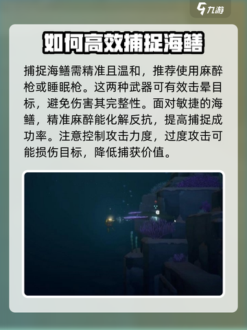 潜水员戴夫海鳝在哪介绍截图3