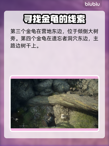 龙之信条2🔥金龟收集全攻略✨截图3