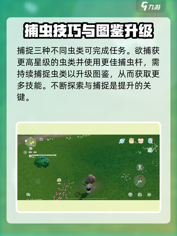 心动小镇怎么捕虫介绍截图5