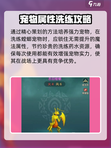 魔力宝贝复兴洗宠攻略介绍介绍截图4