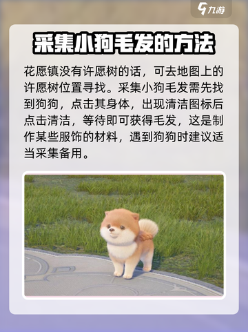 无限暖暖狗狗在哪介绍截图5