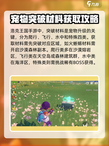 洛克王国💥手游突破材料获取攻略🎉截图2