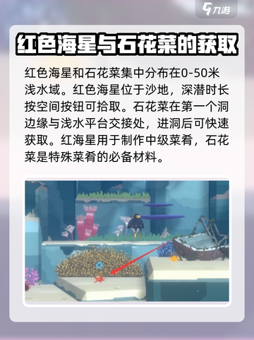 潜水员戴夫📍蜘蛛海星捕捉秘籍大公开！截图4