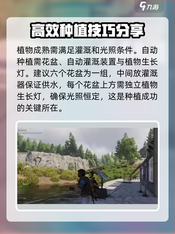 七日世界种植技巧有哪些介绍截图2