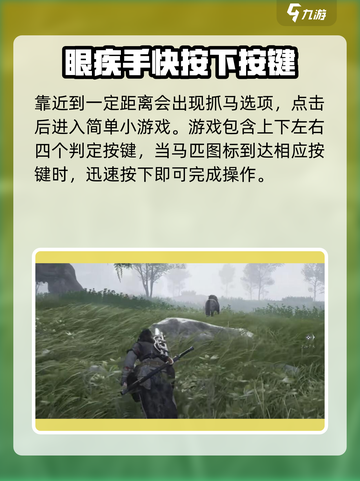 燕云十六声马怎么抓介绍截图3