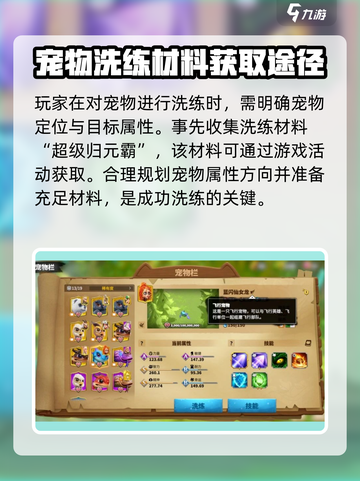 万龙觉醒🔥宠物洗练终极攻略⚠注意事项全解析截图2