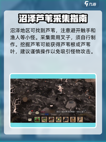 饥荒新家园芦苇怎么获得介绍截图3