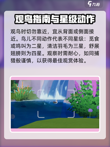 心动小镇观鸟技巧🔥超全攻略来了！🐦截图2