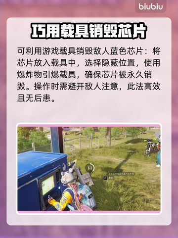 PUBG蓝色芯片销毁秘籍🔥快来看👇截图3