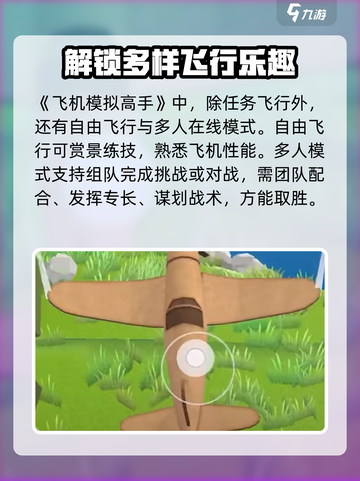 飞机模拟高手好玩吗介绍截图6