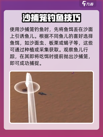 沙石镇时光鱼筐在哪买介绍截图4