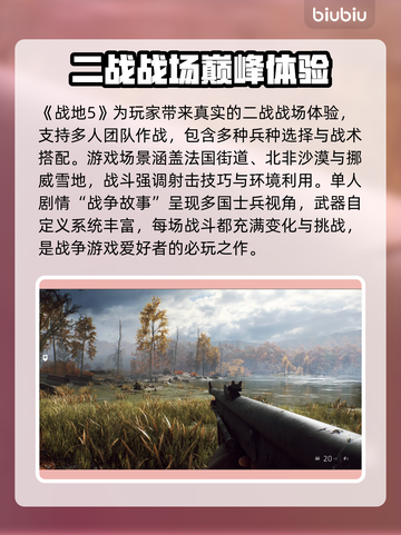 🎮战地5卡顿到崩溃？这些加速器让你丝滑吃鸡！截图2