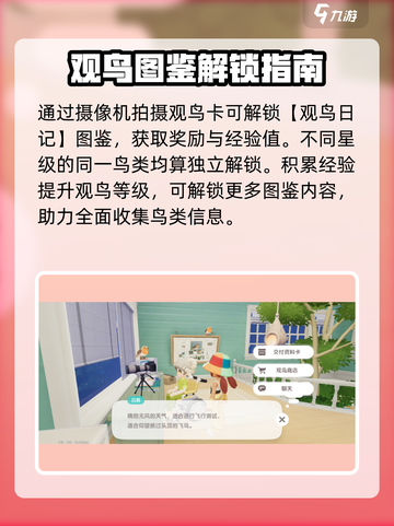 心动小镇观鸟卡大揭秘！🔥超多功能等你发现📖截图2