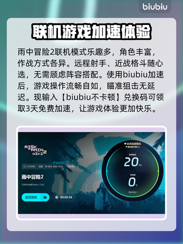 雨中冒险2卡顿🔥优化设置，流畅体验⚡截图3