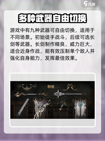 《权力之望》长剑🔥：游戏中最强武器揭秘！截图2