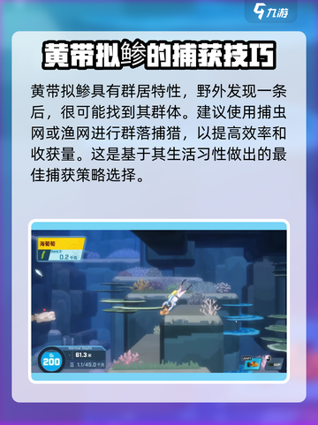 潜水员戴夫黄带拟鲹🔥超详细攻略来了！截图3