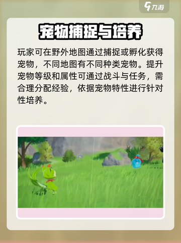 洛克王国世界新手攻略指南介绍截图3