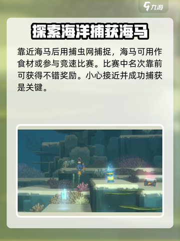 潜水员戴夫海马怎么捉介绍截图4
