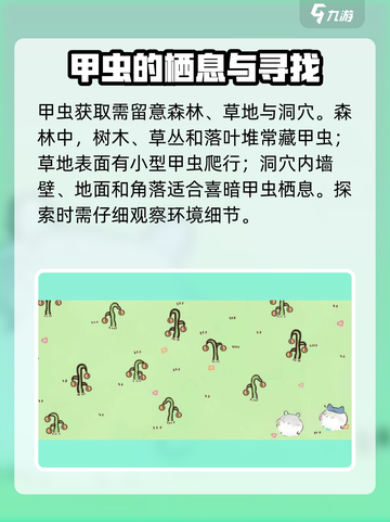 口袋吉伊卡哇甲虫怎么获取介绍截图3