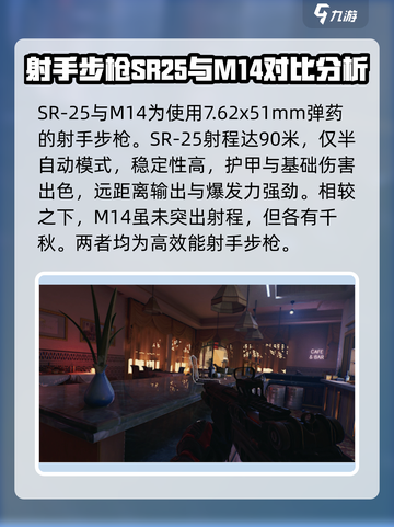 三角洲行动精确射手步枪有哪些介绍截图2