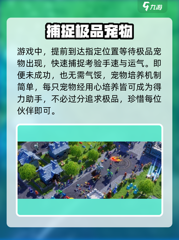 魔力宝贝复兴🎉宠物刷新点大曝光！快来看📍截图4