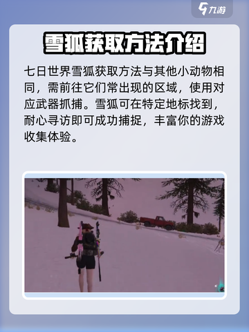 七日世界🔥雪狐获取全攻略！轻松捕获✨截图2