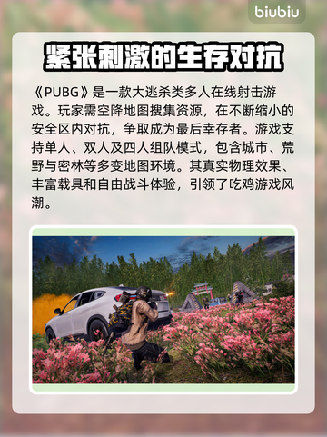 PUBG显存不足闪退？这样解决立马流畅🔥🎮截图2