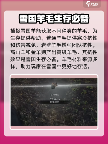 七日世界雪国羊在哪介绍截图3