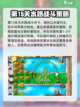 植物大战僵尸杂交版全关卡介绍介绍截图4