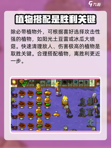 植物大战僵尸杂交版第9关🔥通关秘籍在这里！游戏技巧大公开🎉截图3