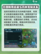 群星纪元资源地怎么攻打介绍截图4