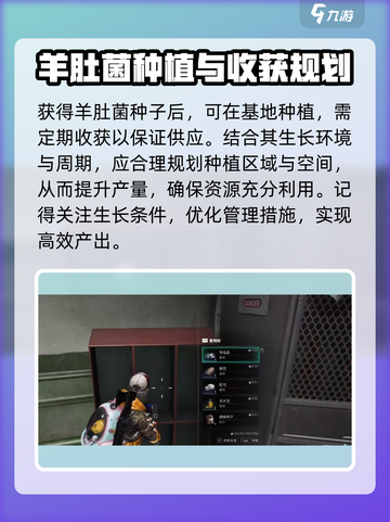 《七日世界》🔥羊肚菌作用大起底！生存必备💡截图4