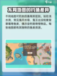 唱舞星计划😎：深湾口位置大起底！🔥截图3