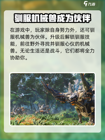 荒野起源是单机游戏吗介绍截图4