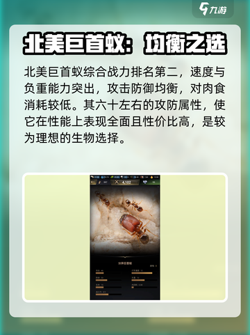 小小蚁国蚂蚁排名介绍截图3